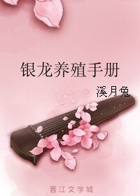银龙养殖手册