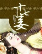 《十七妾:腹黑王爷九等侍妾》