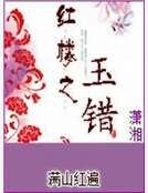 红楼之玉错