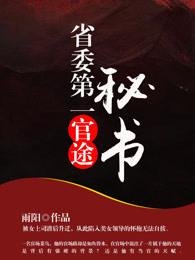 官途：省委第一秘书