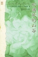 吹满风的山谷