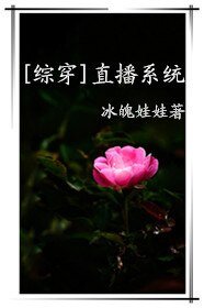 （综同人）[综穿]直播系统