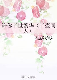 （BG/独孤天下同人）许你半世繁华（半壶同人）
