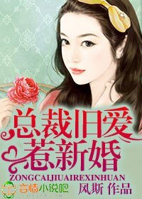 《总裁旧爱惹新婚》
