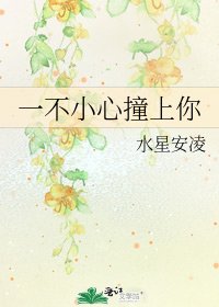 《一不小心撞上你》