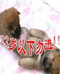 23歲以下勿進，謝謝!