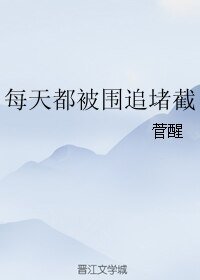 每天都被围追堵截