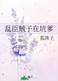 乱臣贼子在坑爹