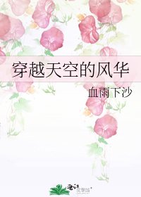 《穿越天空的风华》