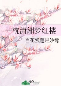 一枕潇湘梦红楼