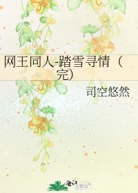 网王同人-踏雪寻情（完）