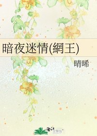 《暗夜迷情(網王)》