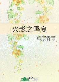 《火影之鸣夏》