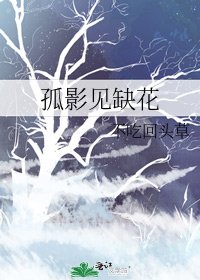 《孤影见缺花》