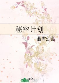 《秘密计划》