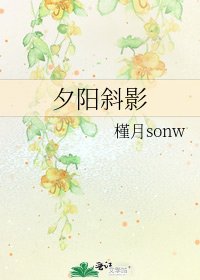 《夕阳斜影》