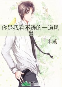 《你是我看不透的一道風景》