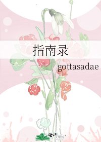 《指南录》