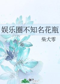 娱乐圈不知名花瓶