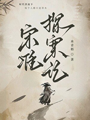 宋准探案记