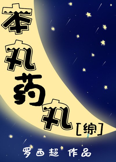 本丸药丸[综]