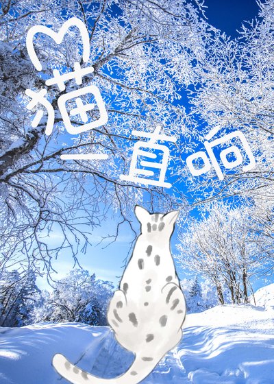 猫一直响